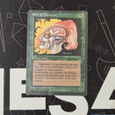 Llanowar Elves [Foreign Black Border]