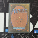 Sol Ring [Foreign Black Border]